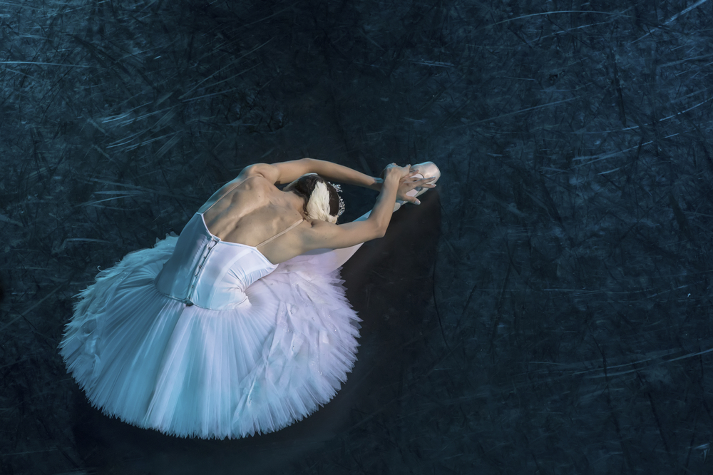 costume of the swan lake