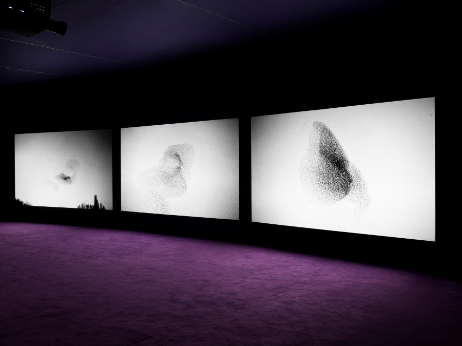 John Akomfrah: Five Murmurations, Exhibition view. 508 West 24th Street, New York. 9 September – 16 October, 2021. © Smoking Dogs Films. Courtesy Lisson Gallery