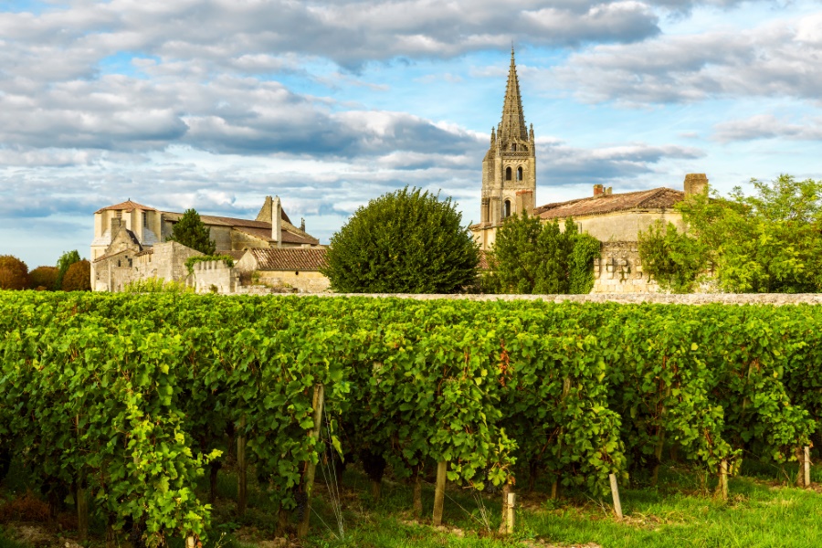 Vineyards in Bordeaux