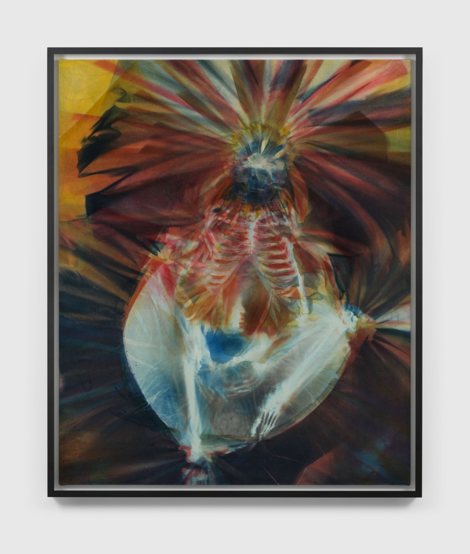 Andra Ursuţa 2022, Photoreactive dye on velvet - © Andra Ursuţa. Courtesy the artist, David Zwirner, and Ramiken, New York - Rebecca CAVANAGH