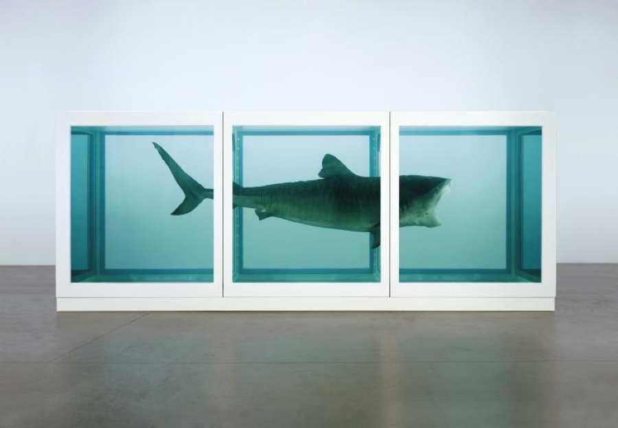 The Physical Impossibility of Death in the Mind of Someone Living, Tiger shark, glass and steel case, 5% formaldehyde