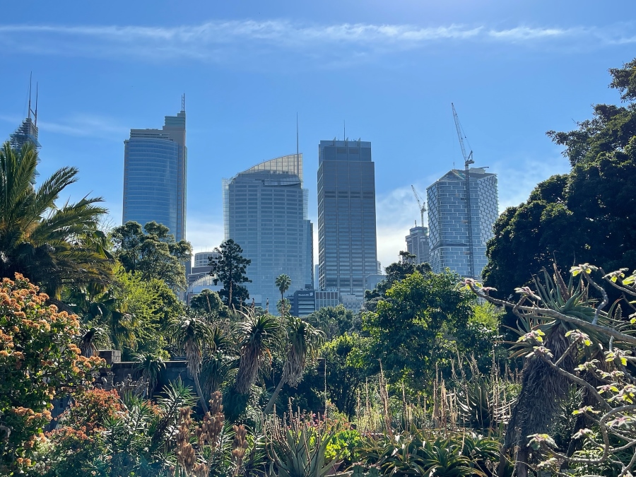 The Royal Botanic Gardens 