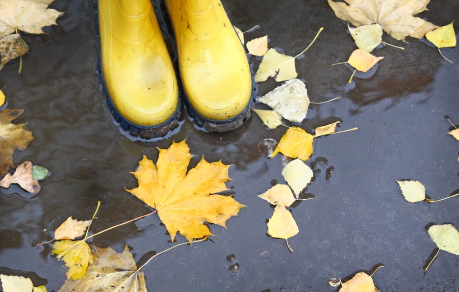 Yellow Boots