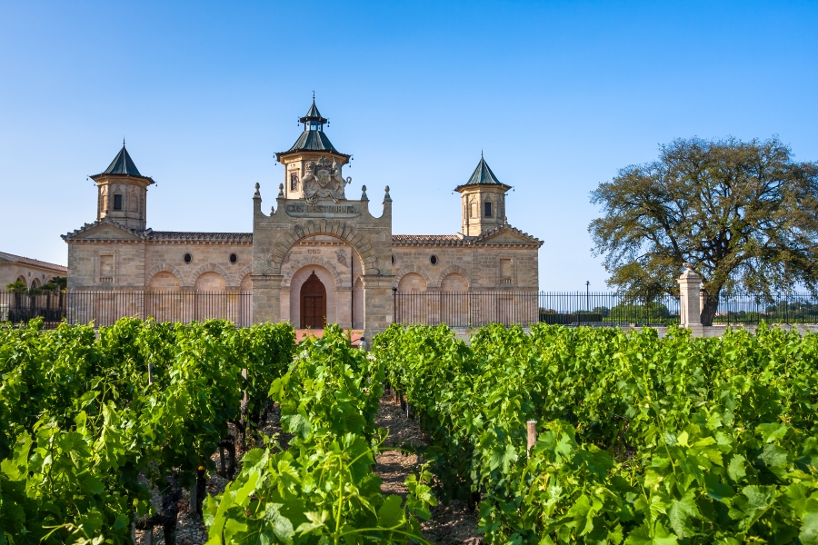 Vineyards in Bordeaux