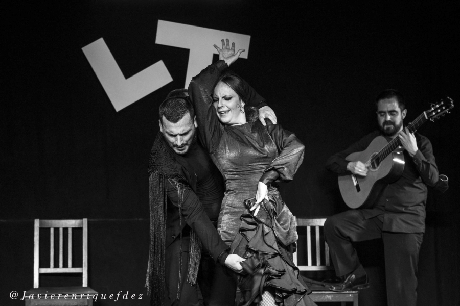 Flamenco performance in Madrid, Spain. Image 2