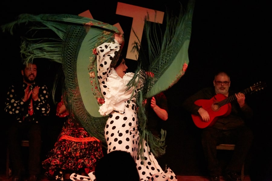 Flamenco dance