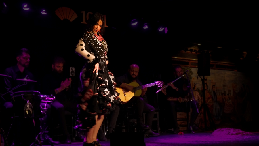 Flamenco perfomance. Image 1