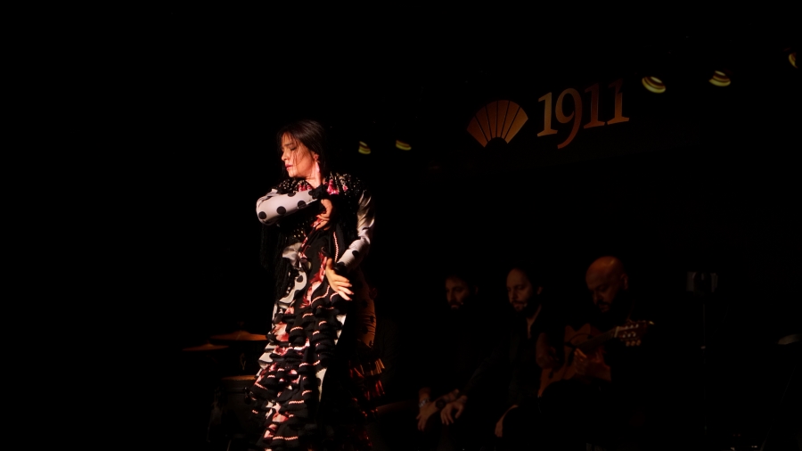 Flamenco dance. Image 2