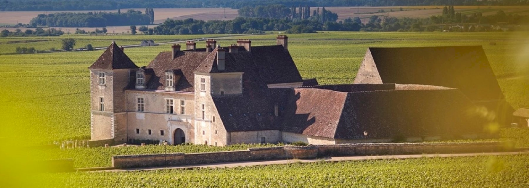 Discover the Clos Vougeot vineyard