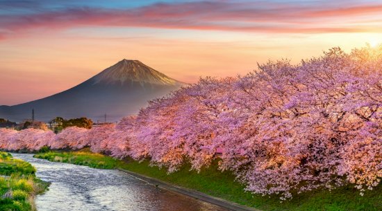 A guide to Japan - TOP 4 most famous places in Japan