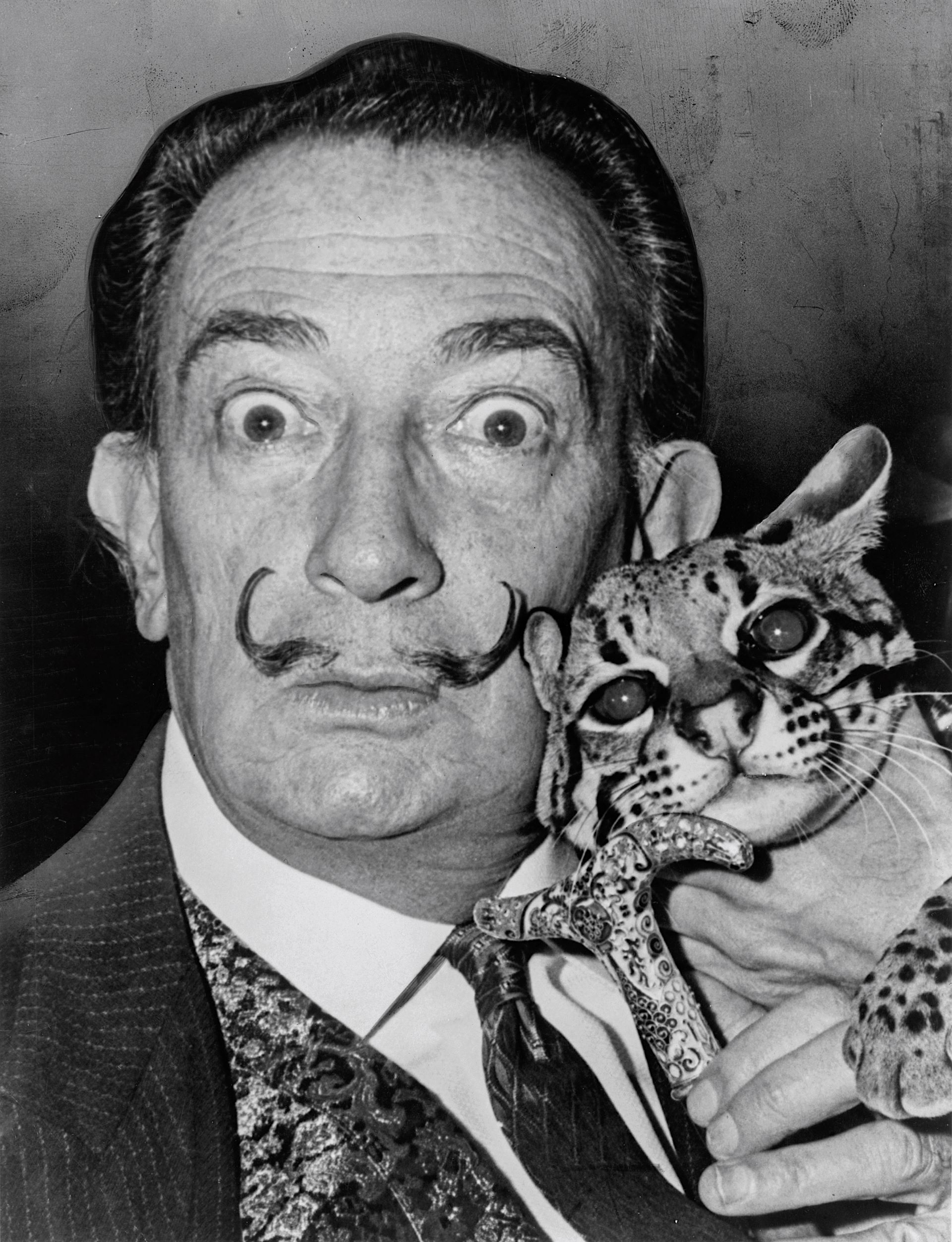 Salvador Dalí Mind of Genius Amazon.com: Dali Dimension: Decoding the Mind of a Genius