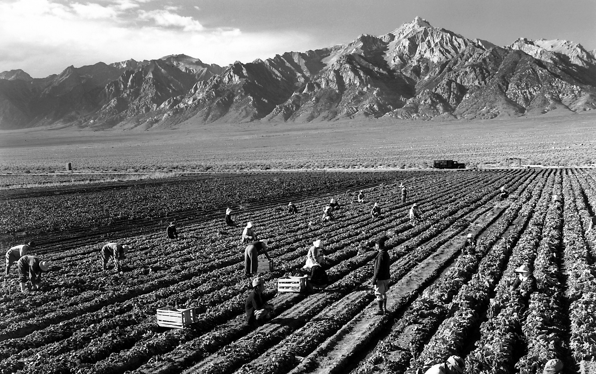 How Ansel Adams revolutionised landscape photography • Art de Vivre