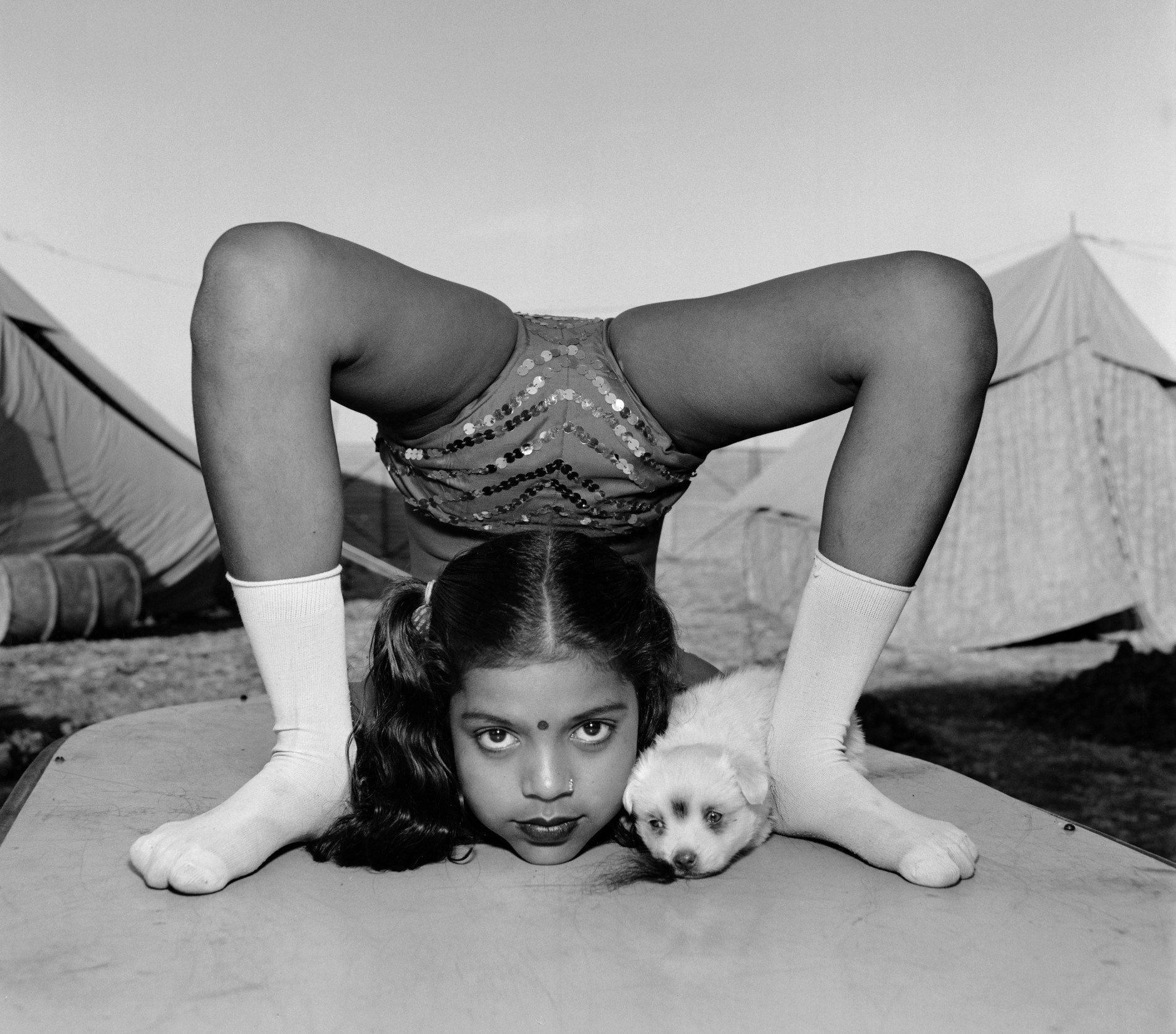 Contortionist with Sweety the Puppy © Mary Ellen Mark, Courtesy of The Mary Ellen Mark Foundation and Howard Greenberg