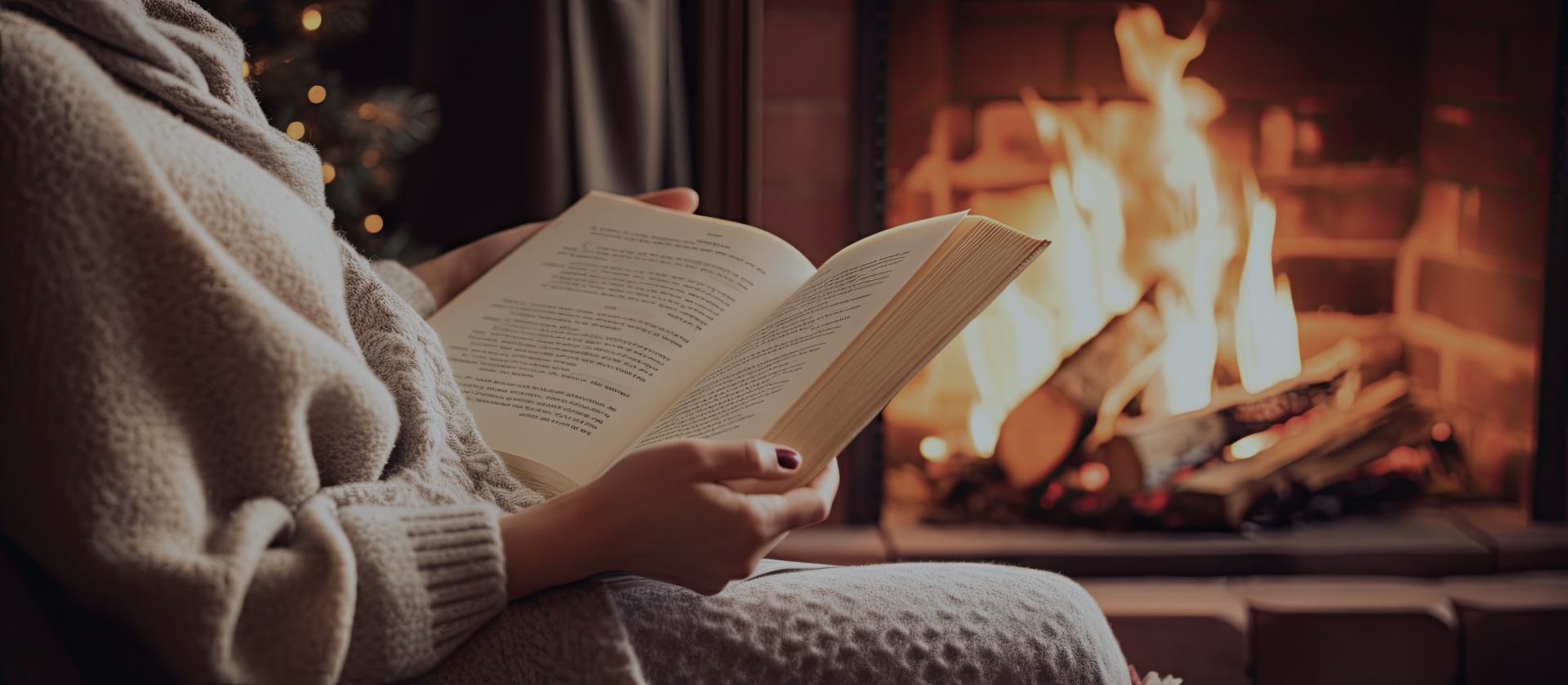 Editor's picks: Books to read (or gift) during the holidays